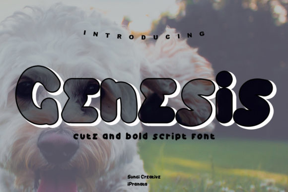 Genesis Font for Branding: A Designer’s Perspective