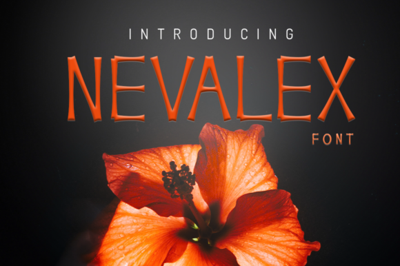 Nevalex: A Versatile Display Font for Digital Design